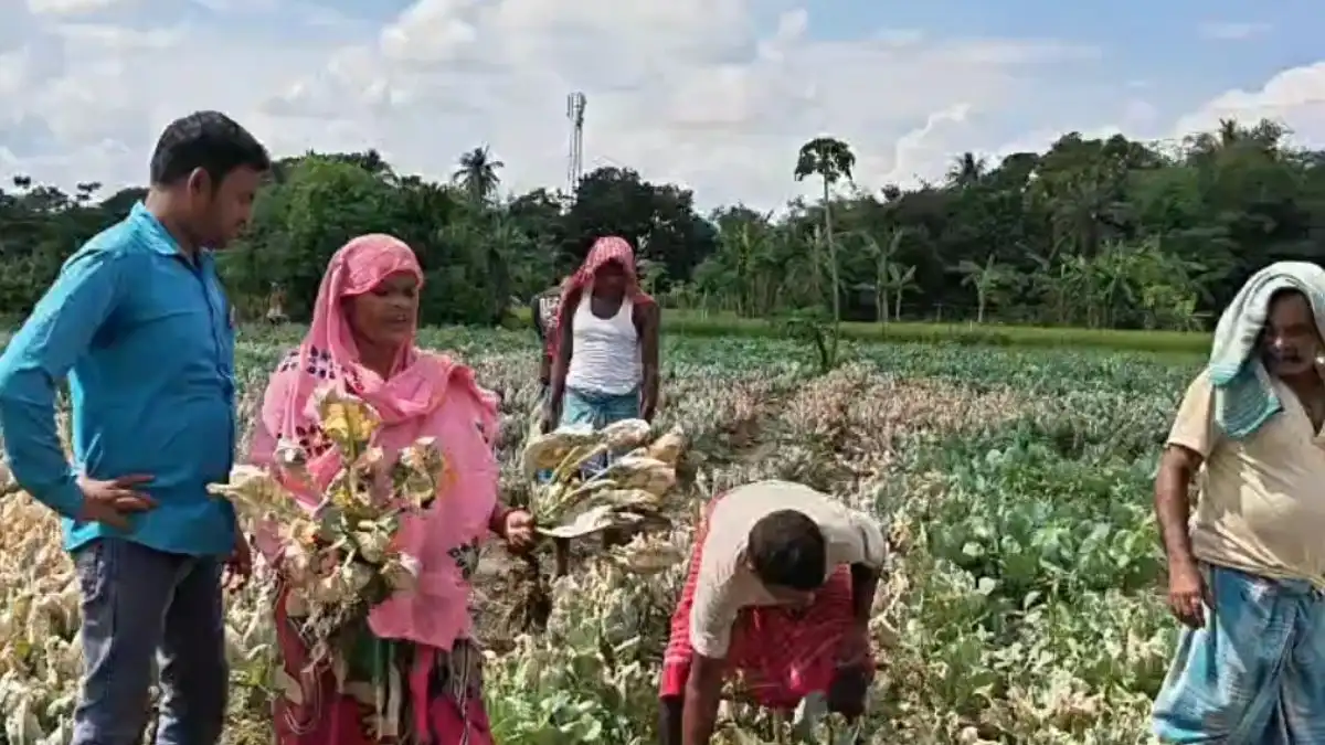 পাঁচ বিঘা জমি ঘেরা নিয়ে উত্তেজনা